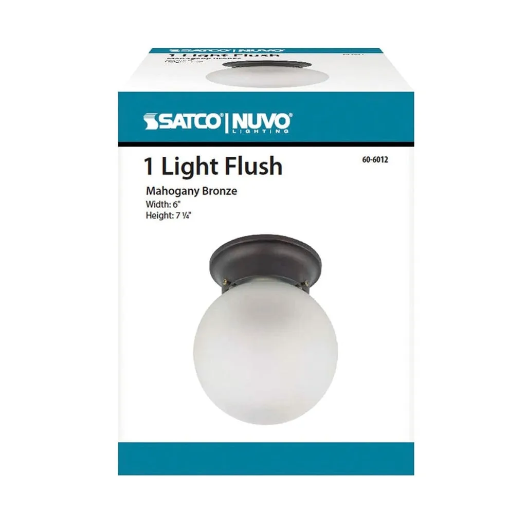 1 LIGHT 6" BALL CEILING