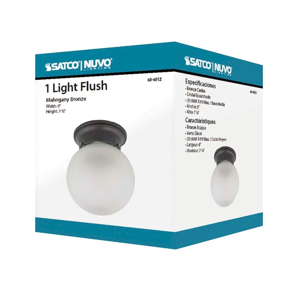 1 LIGHT 6" BALL CEILING