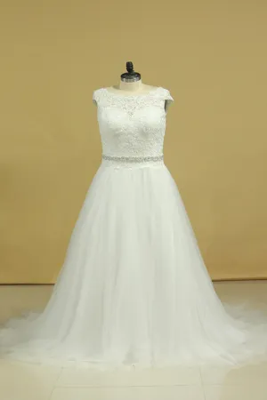 2024 Plus Size  Wedding Dresses A-Line Bateau Court Train V-Back Tulle
