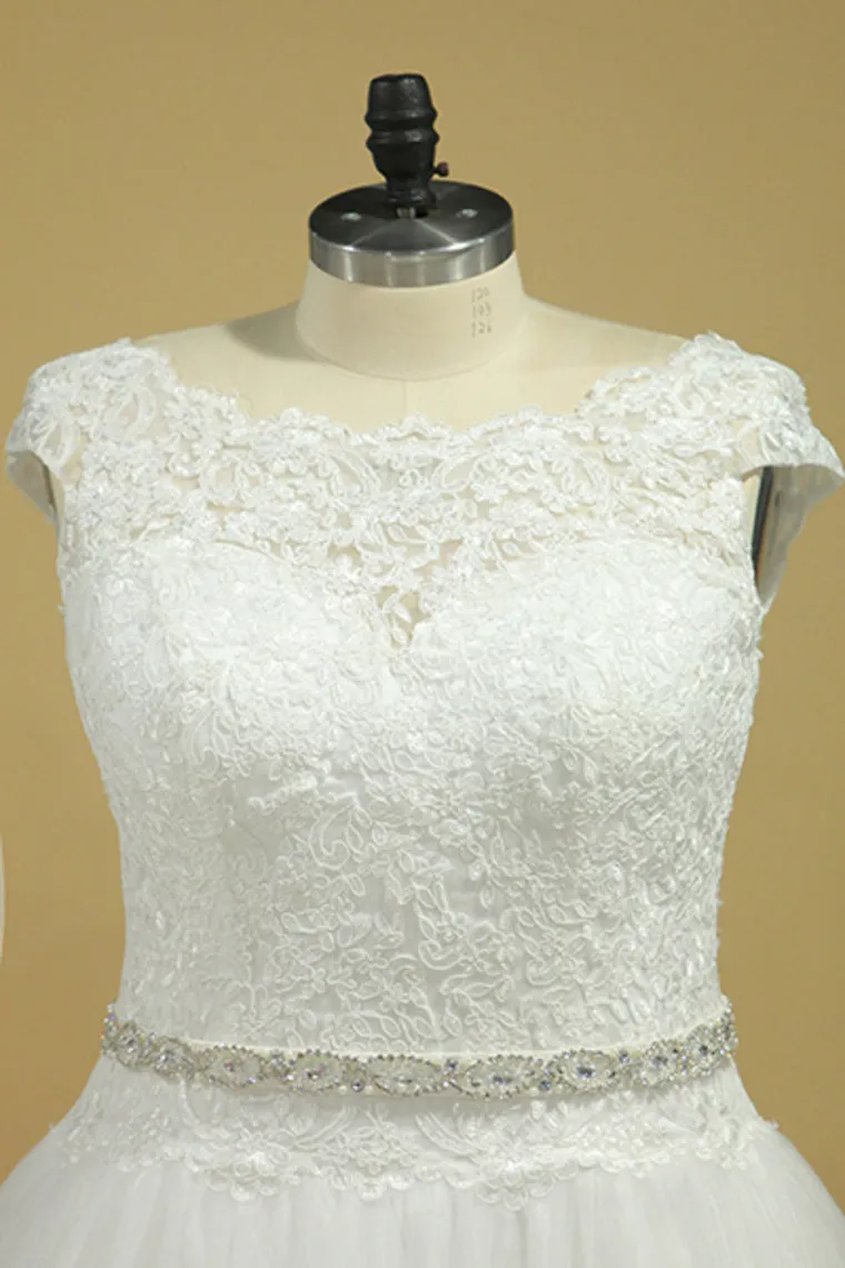 2024 Plus Size  Wedding Dresses A-Line Bateau Court Train V-Back Tulle