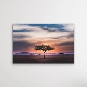 African Lights - Striking African Savannah Landscape Photographic Canvas Print