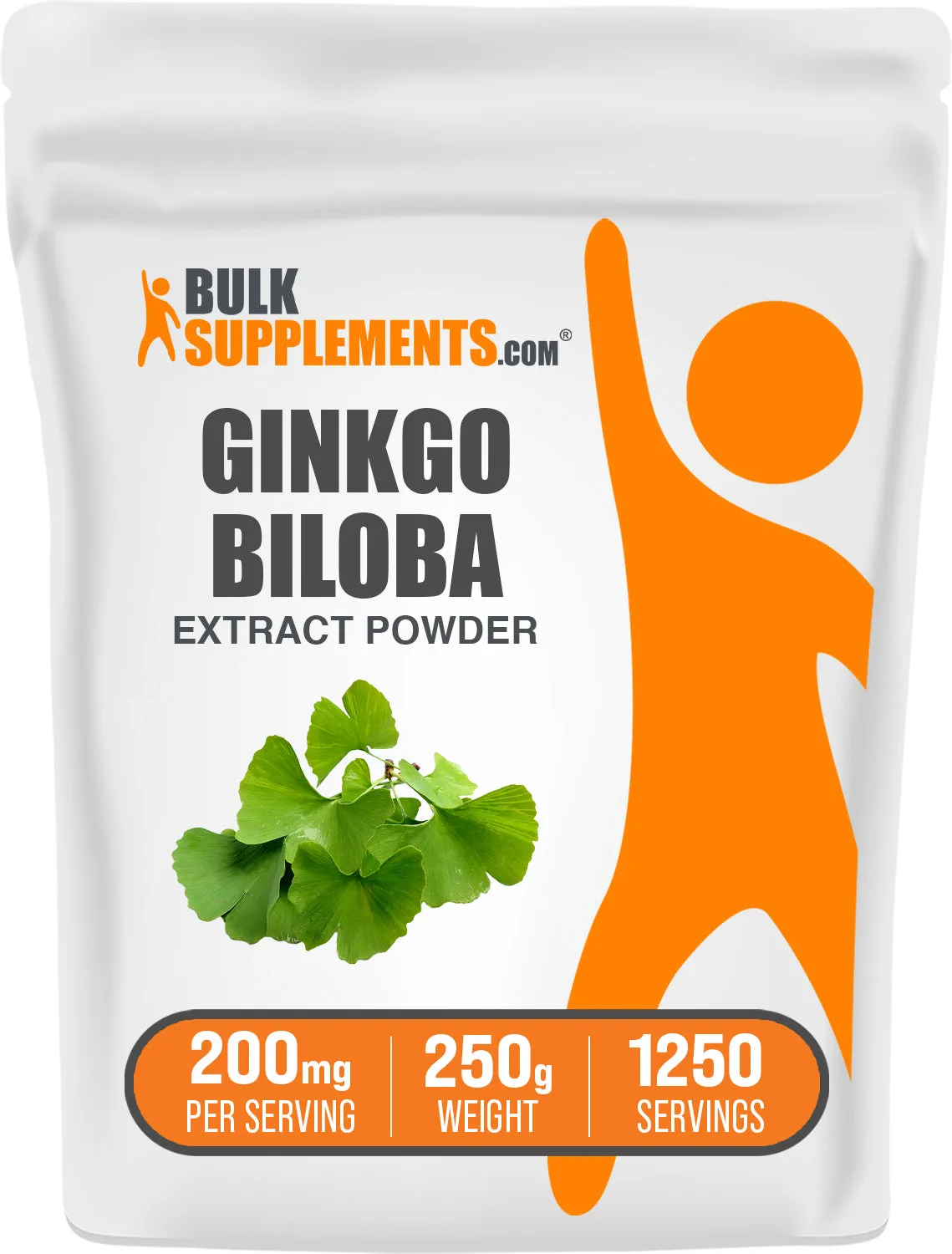Ginkgo Biloba Extract Powder