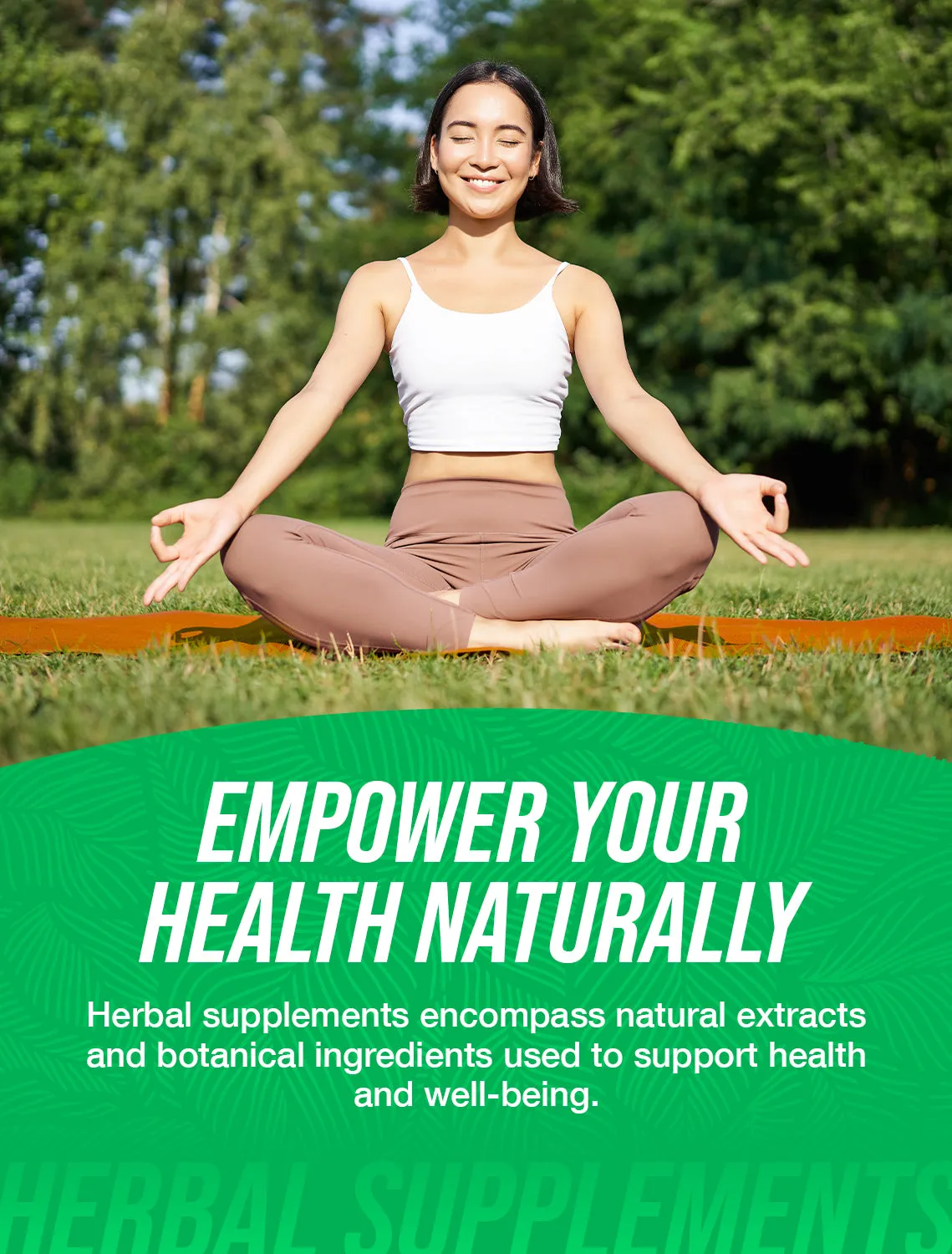 Ginkgo Biloba Extract Powder
