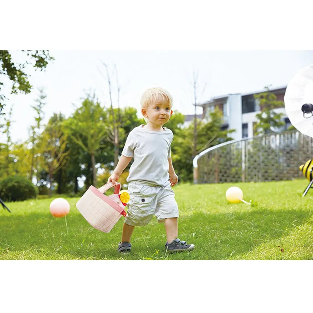 Hape Picnic Set