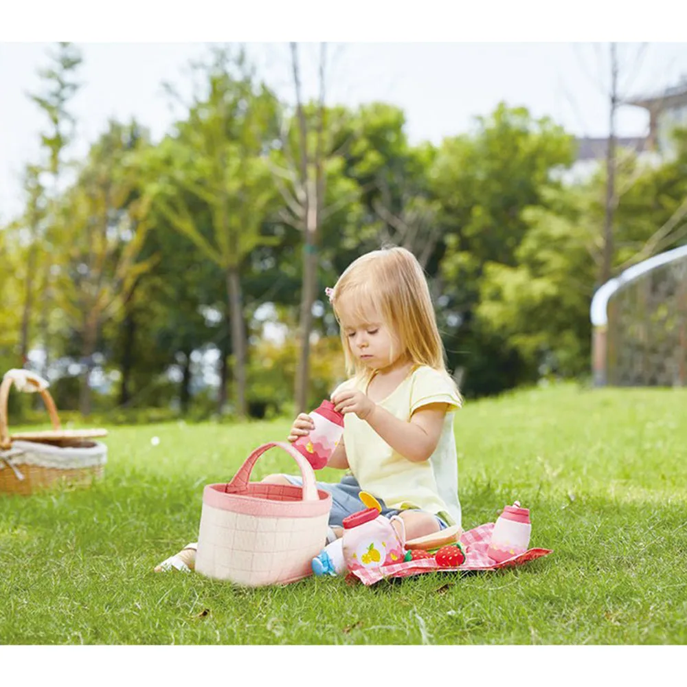Hape Picnic Set