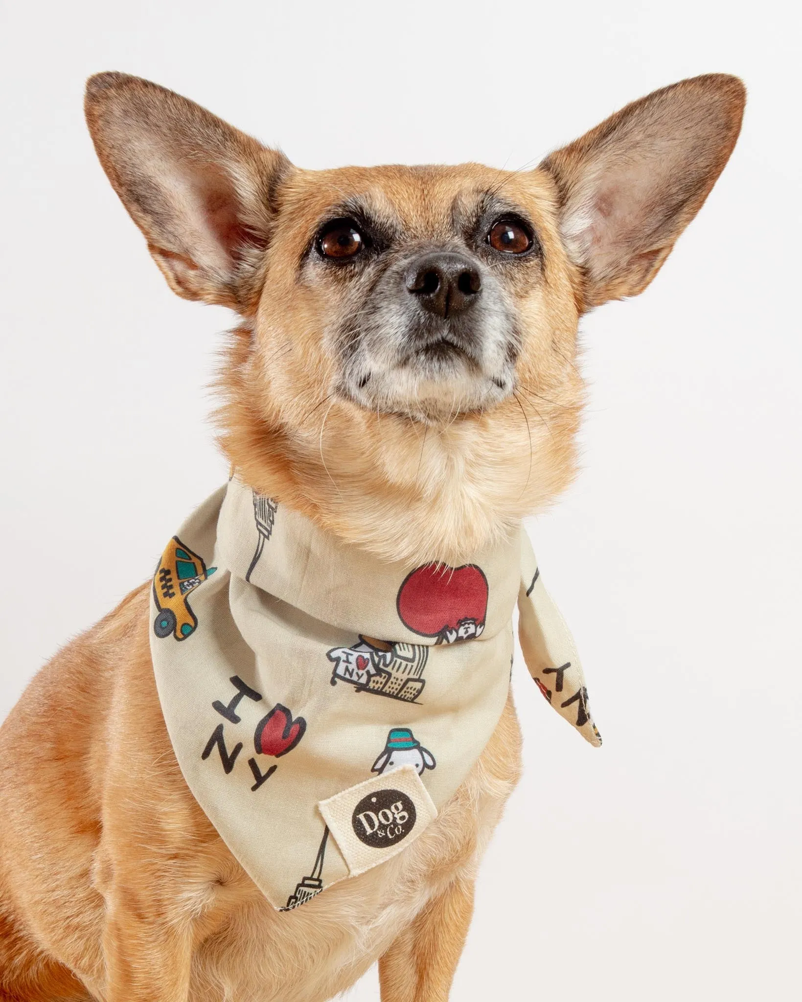 I Love New York Dog Bandana (Dog & Co. Exclusive)