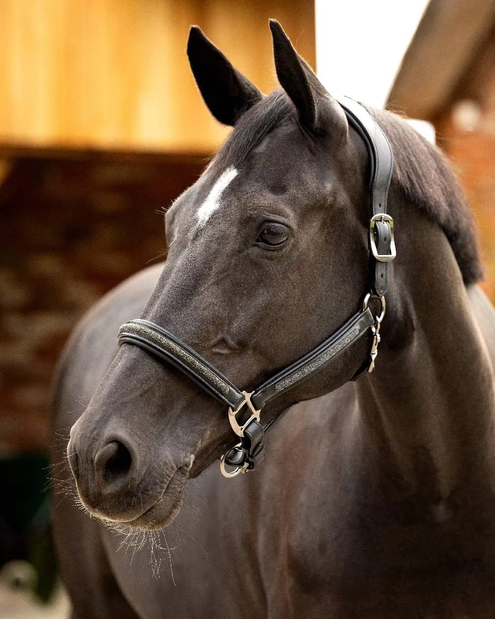 LeMieux Leather Crystal Headcollar