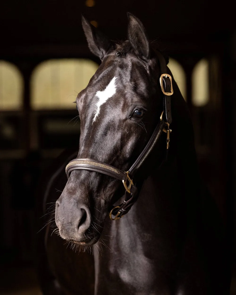 LeMieux Leather Crystal Headcollar