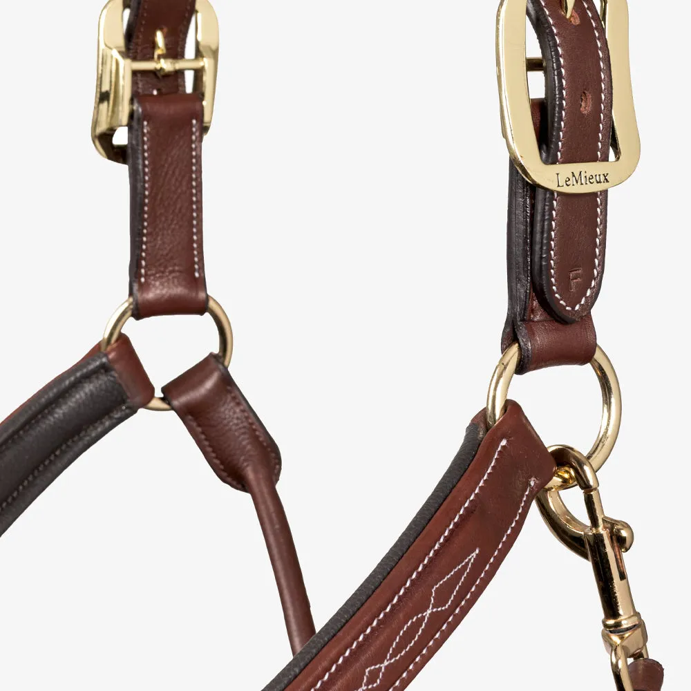 LeMieux Stitched Hunter Headcollar
