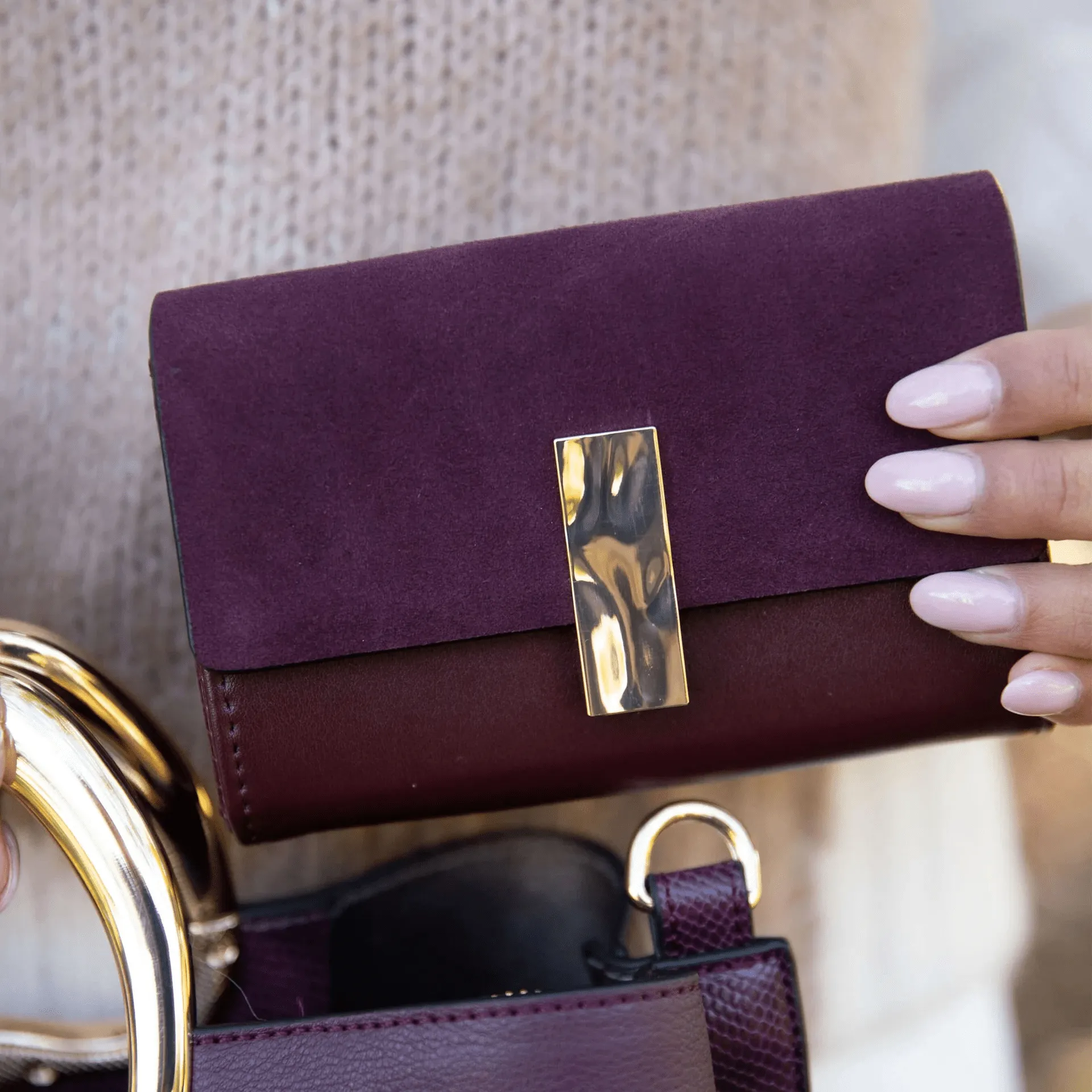 Luella Grey Frederica Small Purse in Plum