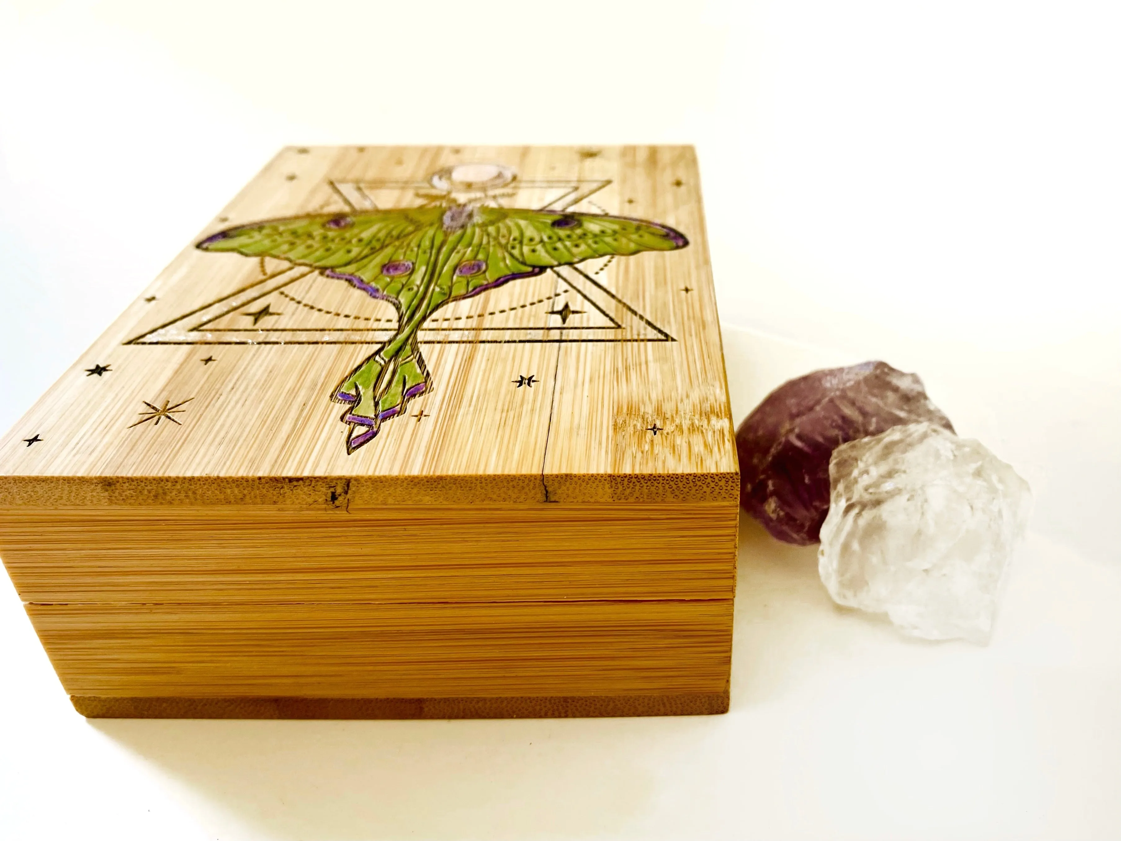 Luna Moth Small Storage Box