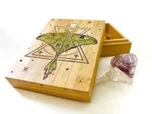 Luna Moth Small Storage Box