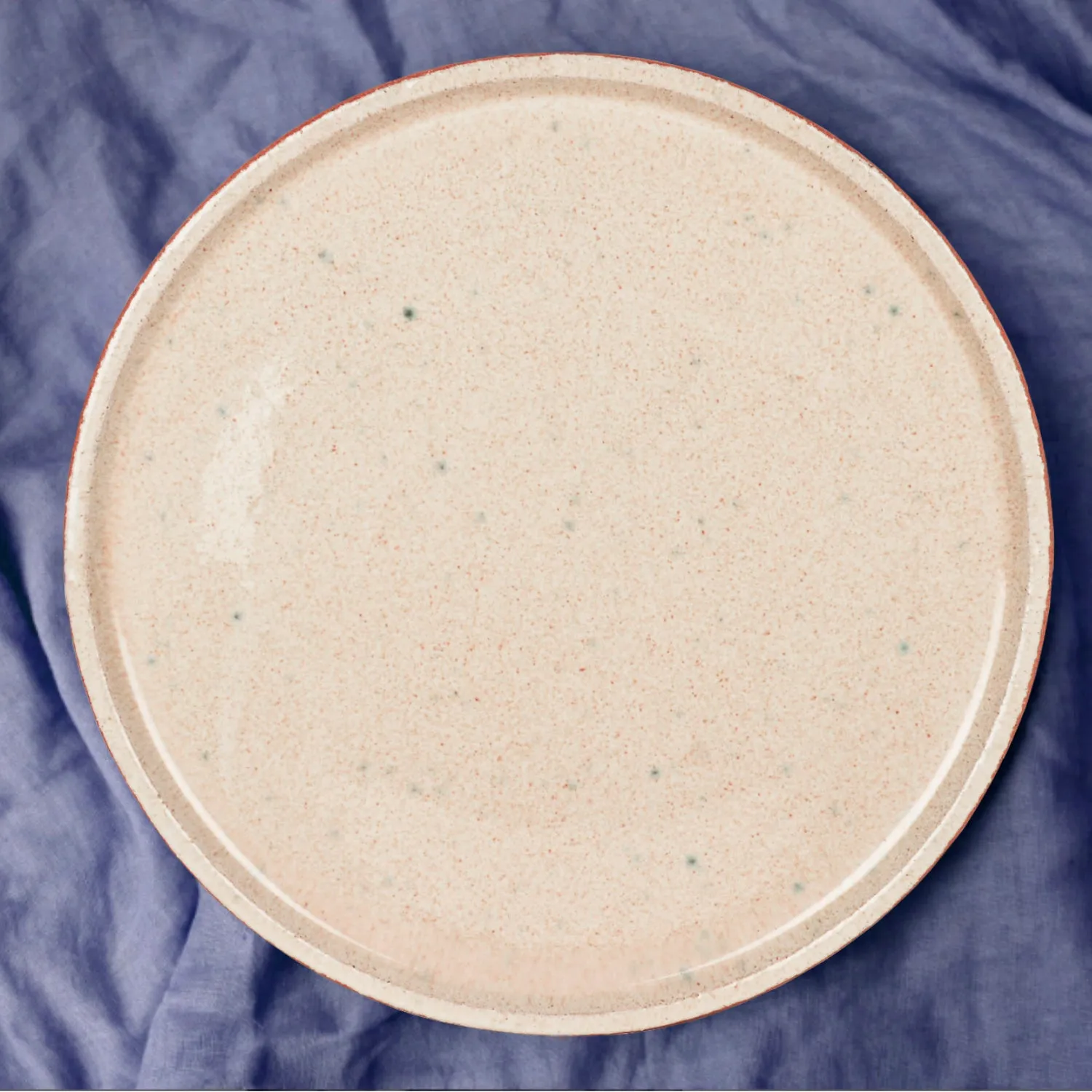 Luxurious Speckled Ceramic Pizza Plate