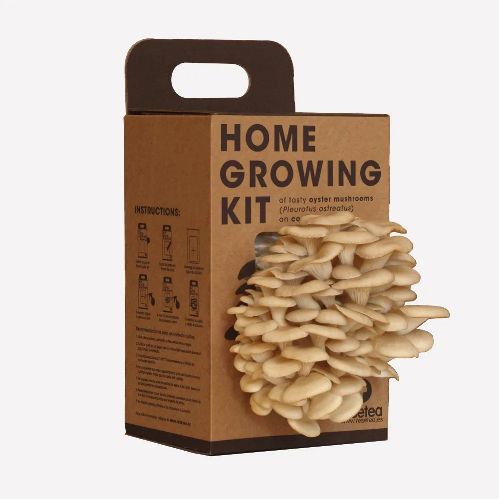 Mushroom Home Growing Kit