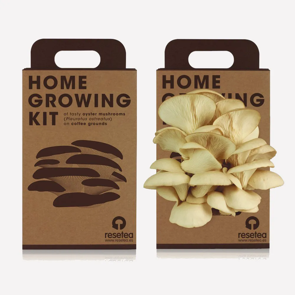 Mushroom Home Growing Kit