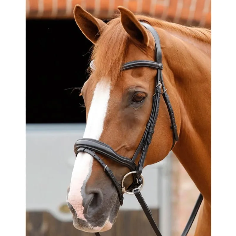 Premier Equine Favoloso Anatomic Bridle with Flash Noseband