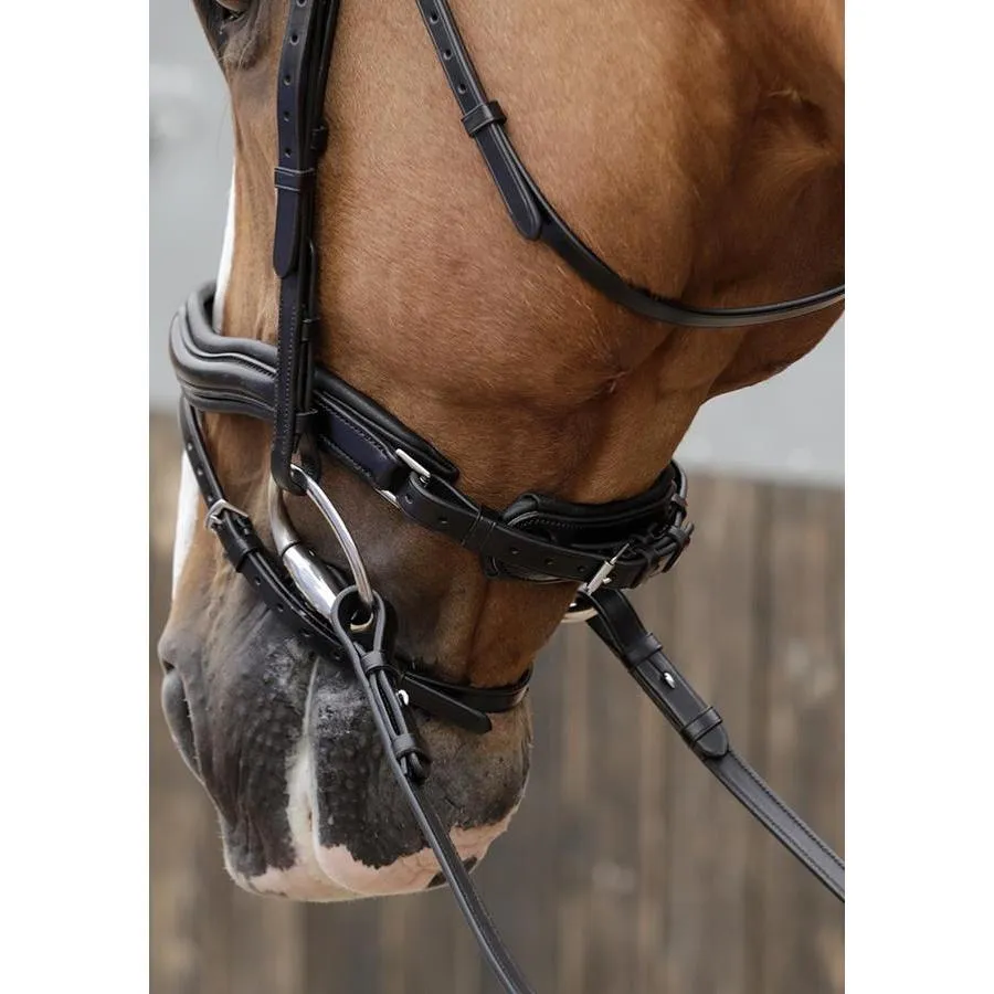 Premier Equine Favoloso Anatomic Bridle