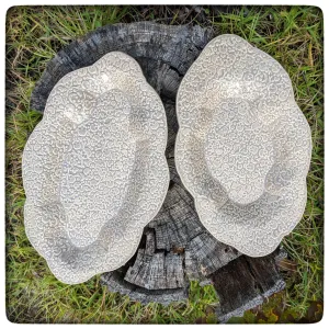 Skull Oval Nesting dishes