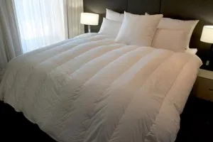 Ultra Light Queen Size Channel Quilt 98-99% White Premium Hand Select Polish Goose Down 3 Blanket Warmth 900  Fill Power